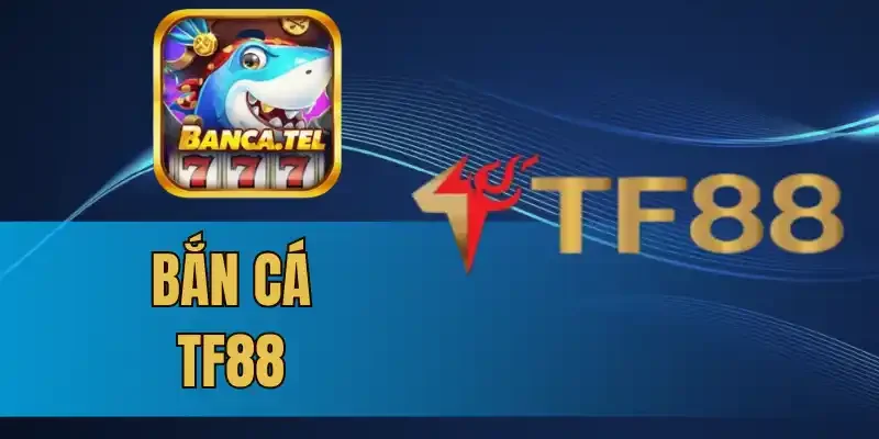 Khám phá thế giới đại dương trực tuyến trong tầm tay