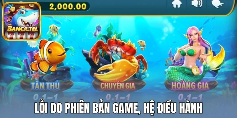 Lỗi do phiên bản game, hệ điều hành