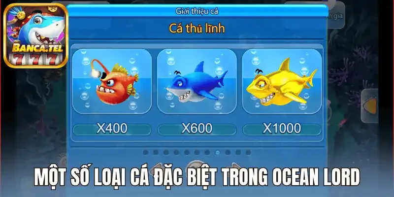 Một số kỹ năng được tích hợp trong Ocean Lord 